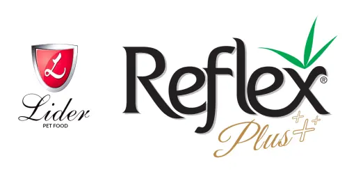 Reflex