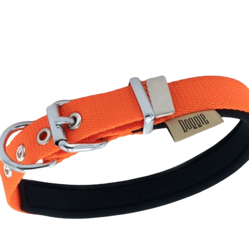 Doggie Konfor Dokuma Boyun Tasması Turuncu 2X30-35Cm