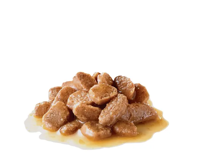 Royal Canin Mini Adult Küçük Irk Yaş Mama 85 gr