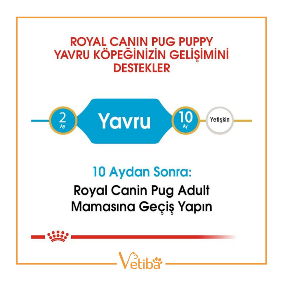Royal Canin Pug Puppy Yavru Köpek Maması 1.5 kg