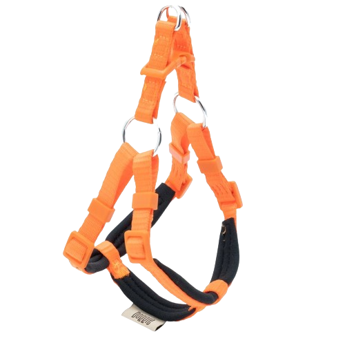 Doggie Konfor Dokuma Ronin Göğüs Tasması Turuncu 1,5X35-40Cm