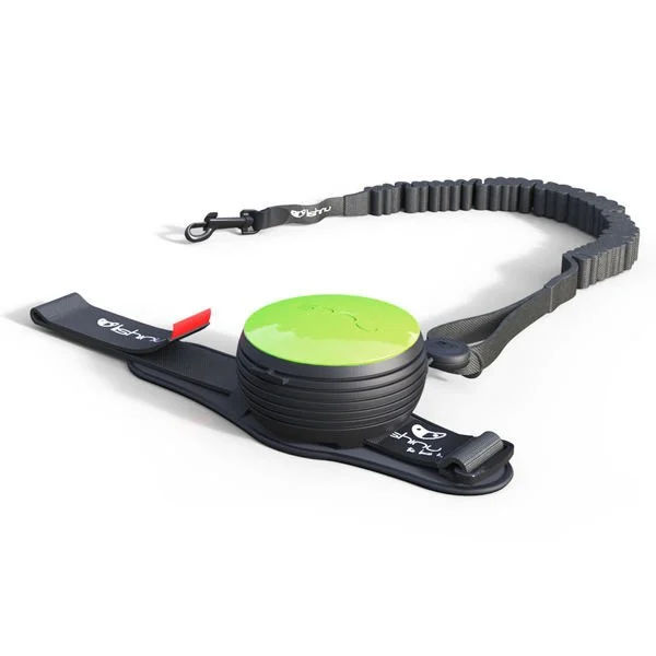 Lishinu Yeşil Bungee Akıllı Kontrol Gezdirme L 13-40 kg