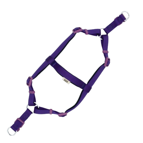 Doggie Konfor Dokuma Ronin Göğüs Tasması Mor 2X45-55Cm