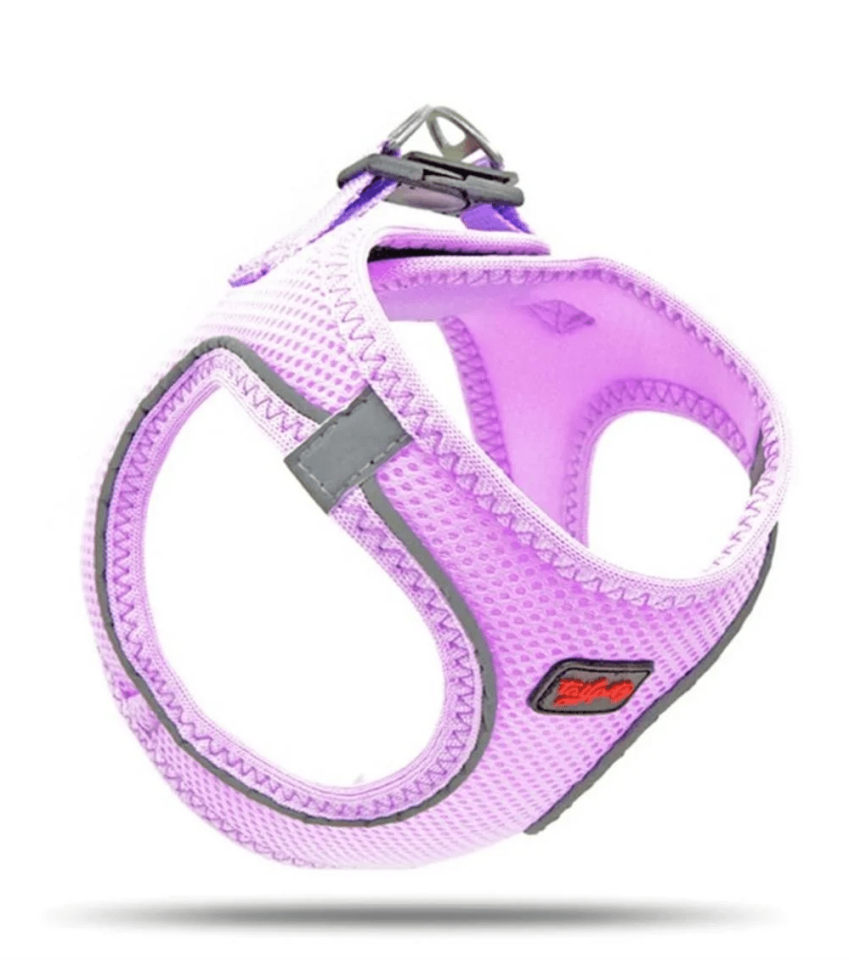 Tailpetz Air Mesh Köpek Göğüs Tasması (Xs) lila