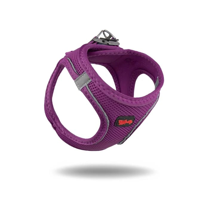 Tailpetz Air Mesh Köpek Göğüs Tasması L Mor STD