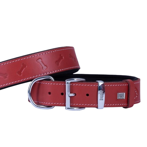 Doggie Konfor Deri Kemik Desenli Boyun Tasması Kırmızı 4X47-55Cm