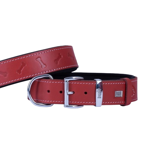 Doggie Konfor Deri Kemik Desenli Boyun Tasması Kırmızı 4X47-55Cm