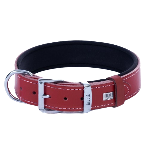 Doggie Konfor Deri Kemik Desenli Boyun Tasması Kırmızı 4X47-55Cm