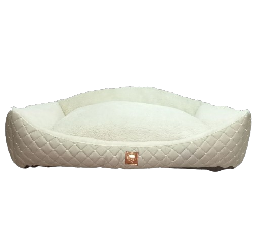 Petboss Champion Set M (Bej-Beyaz)