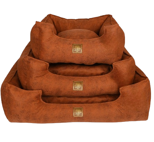 Petboss Üçlü Set M (Turuncu)