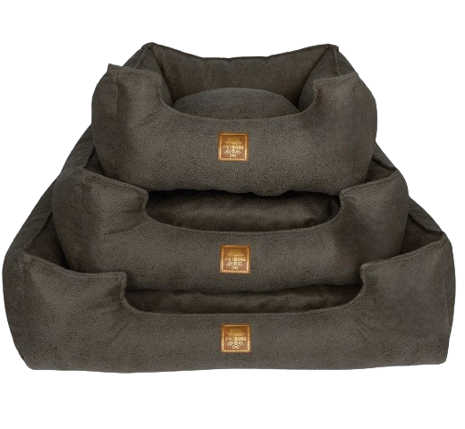 Petboss Üçlü Set L (Antrasit)