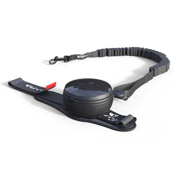 Lishinu Bungee Siyah Akıllı Kontrol Gezdirme L 13-40 kg STD