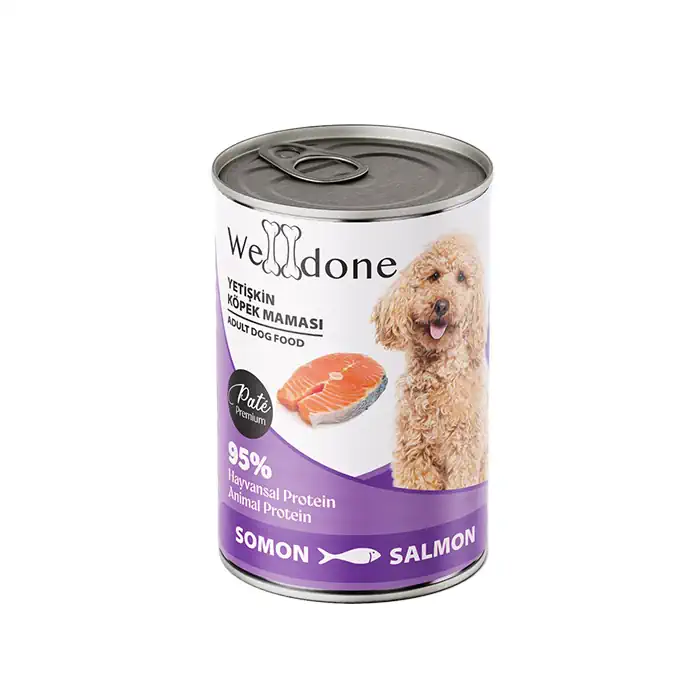 Welldone Pate Somonlu Yetişkin Köpek Maması 415 g