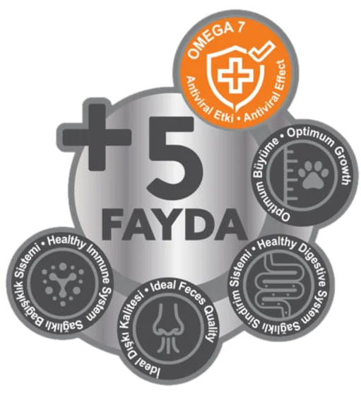 Peritas Signature Kuzu Yabani İğde Mini ve Küçük Irk Yetişkin Köpek Maması 3 kg