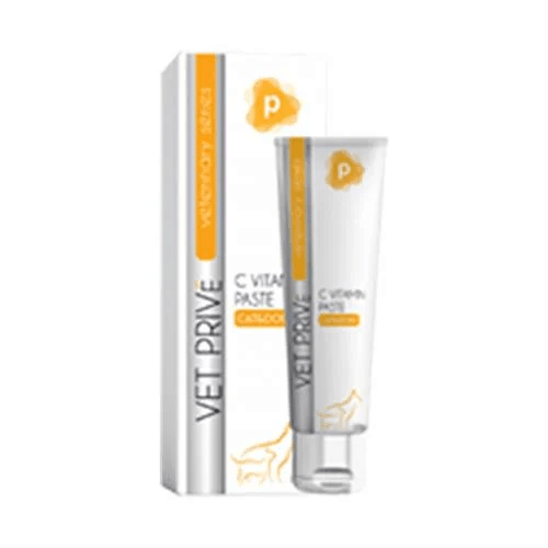 VetPrive Kedi Ve Köpekler Için Vitamin C Desteği Pasta 100 gr