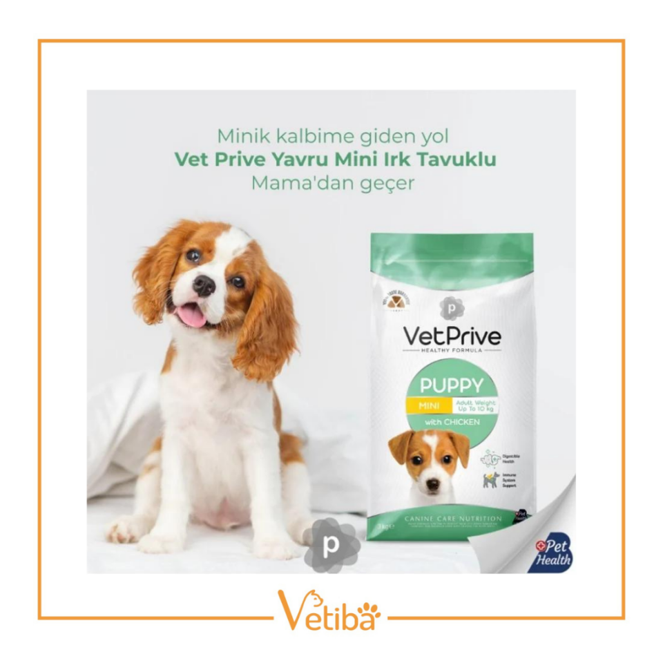 VetPrive Tavuklu Mini Yavru Köpek Maması 3 kg