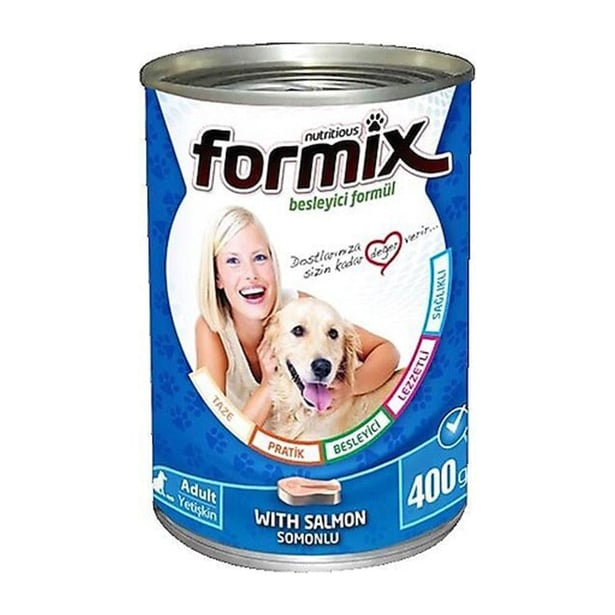 Formix Somonlu Köpek Yaş Maması 400 g