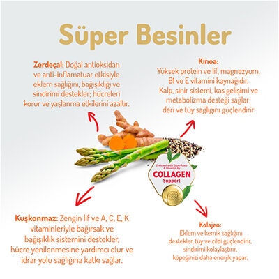 Felicia Hypoallergenic M&L Digest Kuzulu Yetişkin Köpek Maması 3 kg