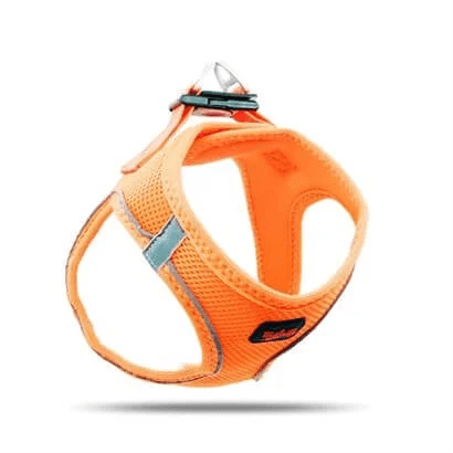 Tailpetz Air Mesh Köpek Göğüs Tasması Neon-turuncu Large