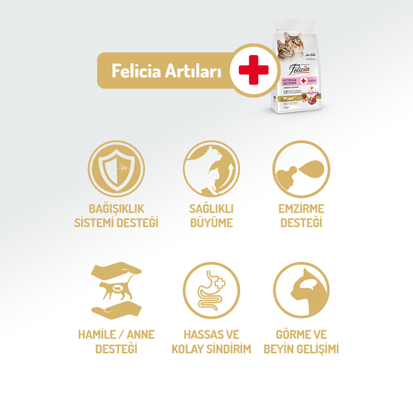 Felicia Hypoallergenic Kıtten&Mother Kuzulu Yavru Kedi Maması 2 kg