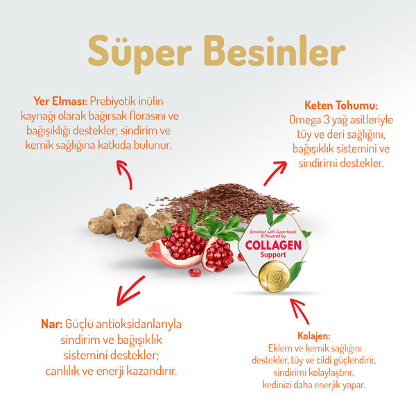 Felicia Hypoallergenic Kıtten&Mother Kuzulu Yavru Kedi Maması 2 kg