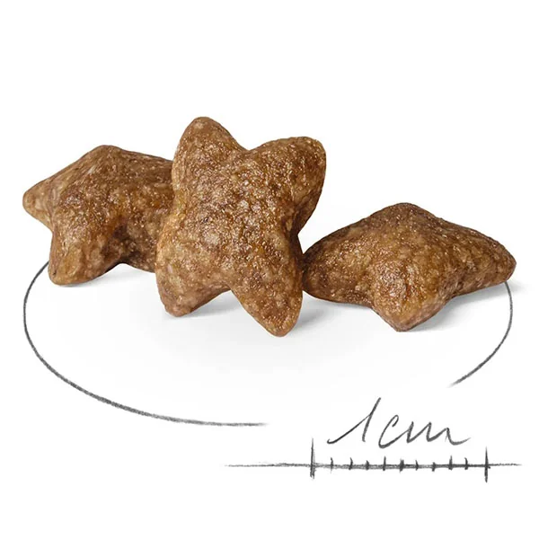 Royal Canin Mini Adult Küçük Irk Yetişkin Köpek Maması 2 kg