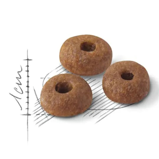 Royal Canin Fit 32 Yetişkin Kedi Maması 2 kg