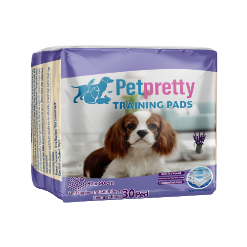 Pet Pretty Köpek Eğitim Çiş Pedi 60x90 cm 30 adet