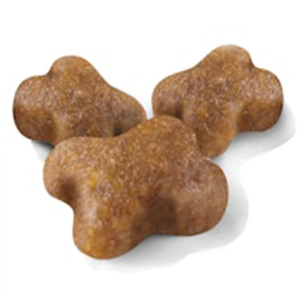 Royal Canin Kitten Yavru Kedi Mamasi 2 kg