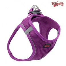 Tailpetz Air Mesh Köpek Göğüs Tasması Mor Small