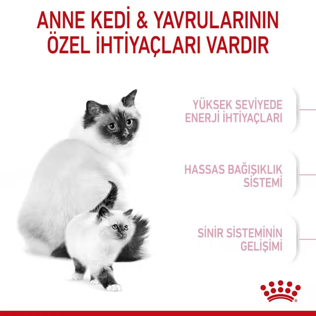 Royal Canin Mother Baby Cat Yavru Kedi Maması 2 kg