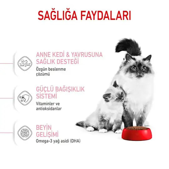 Royal Canin Mother & Babycat Yavru Kedi Maması 4 kg