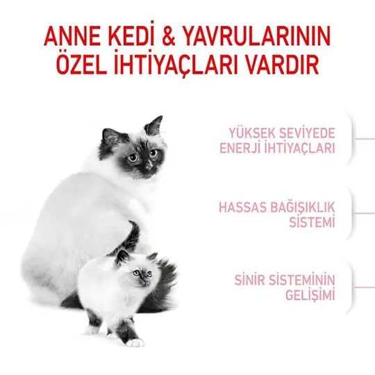 Royal Canin Mother & Babycat Yavru Kedi Maması 4 kg