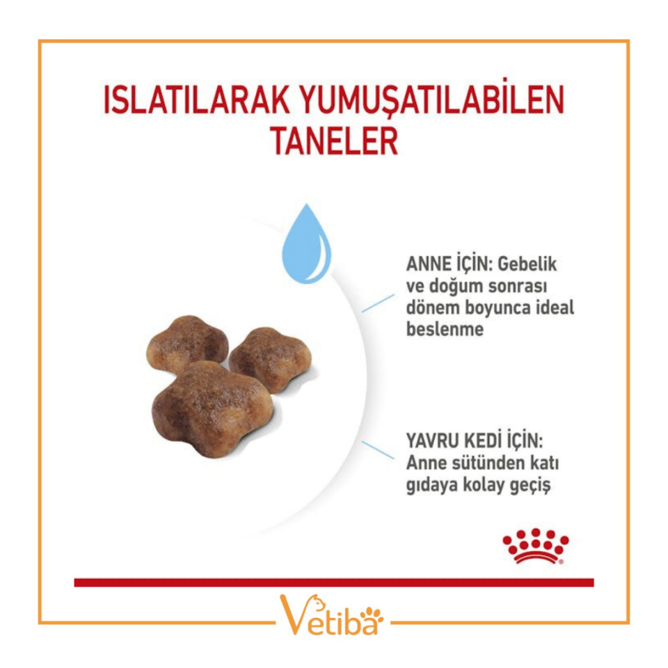 Royal Canin Mother & Babycat Yavru Kedi Maması 4 kg