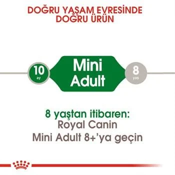 Royal Canin Mini Adult Yetişkin Köpek Maması 8 kg