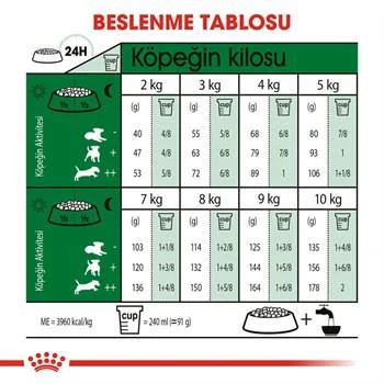 Royal Canin Mini Adult Yetişkin Köpek Maması 8 kg