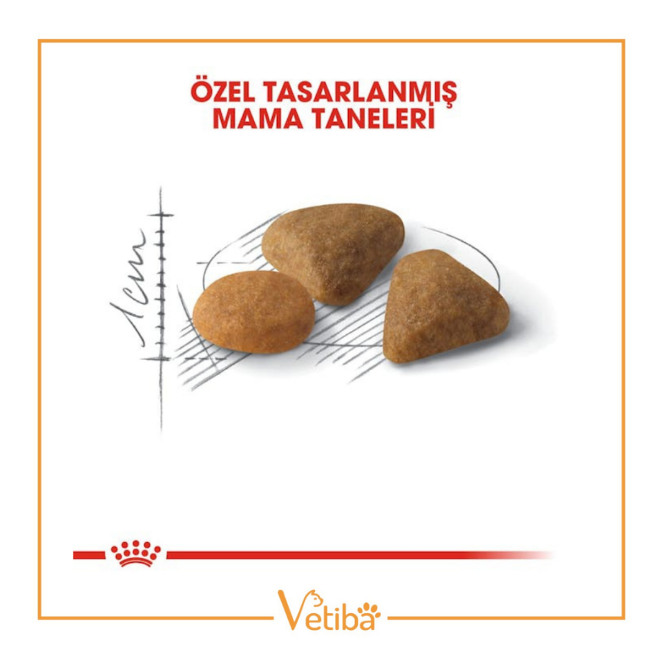 Royal Canin Exigent Savour Seçici Yetişkin Kedi Maması 2 kg