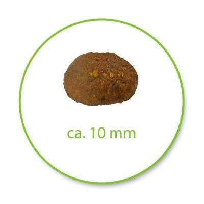 Royal Canin Hair&Skin Care Yetişkin Kedi Maması 2 kg