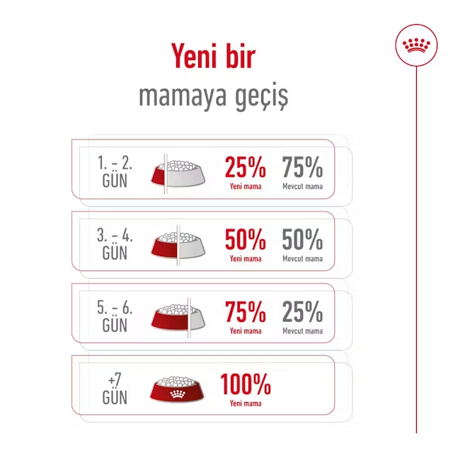 Royal Canin Mini Adult Yetişkin Köpek Maması 4 kg