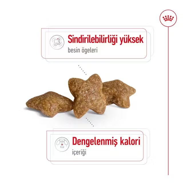 Royal Canin Mini Adult Yetişkin Köpek Maması 4 kg
