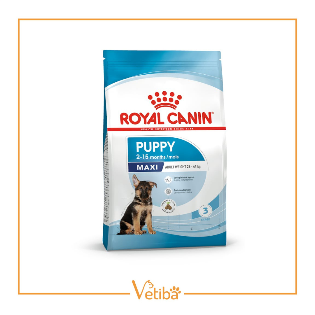 Royal Canin Maxi Puppy Büyük Irk Yavru Köpek Maması 15 kg