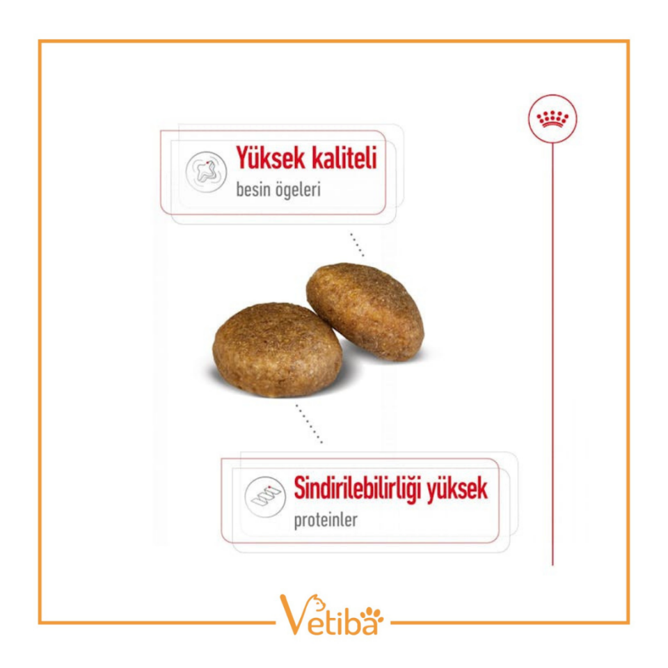 Royal Canin Maxi Adult Büyük Irk Yetişkin Köpek Maması 15 kg