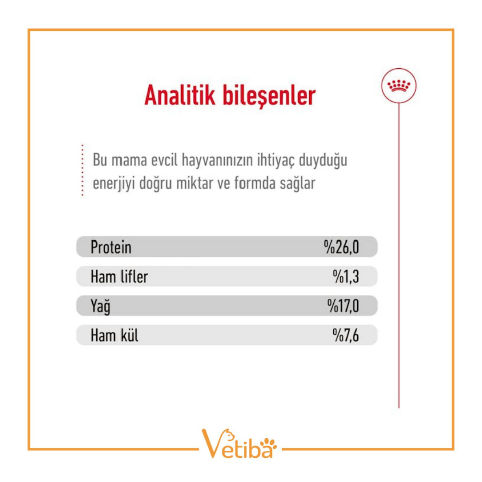 Royal Canin Maxi Adult Büyük Irk Yetişkin Köpek Maması 15 kg