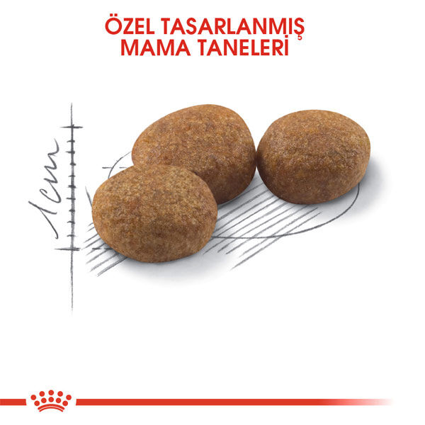 Royal Canin Sterilised 37 Kısırlaştırılmış Kedi Maması 2 kg