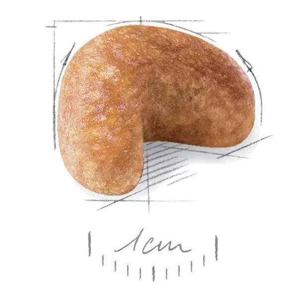 Royal Canin Cocker Yetişkin Köpek Maması 3 kg