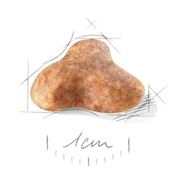 Royal Canin Pug Adult Yetişkin Köpek Maması 1.5 kg