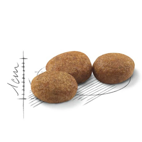 Royal Canin Sterilised 37 Kısırlaştırılmış Kedi Maması 15 kg