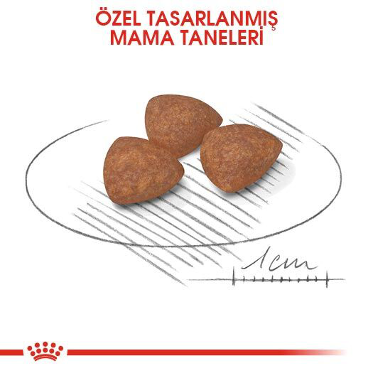 Royal Canin Mini Puppy Küçük Irk Yavru Köpek Maması 2 kg