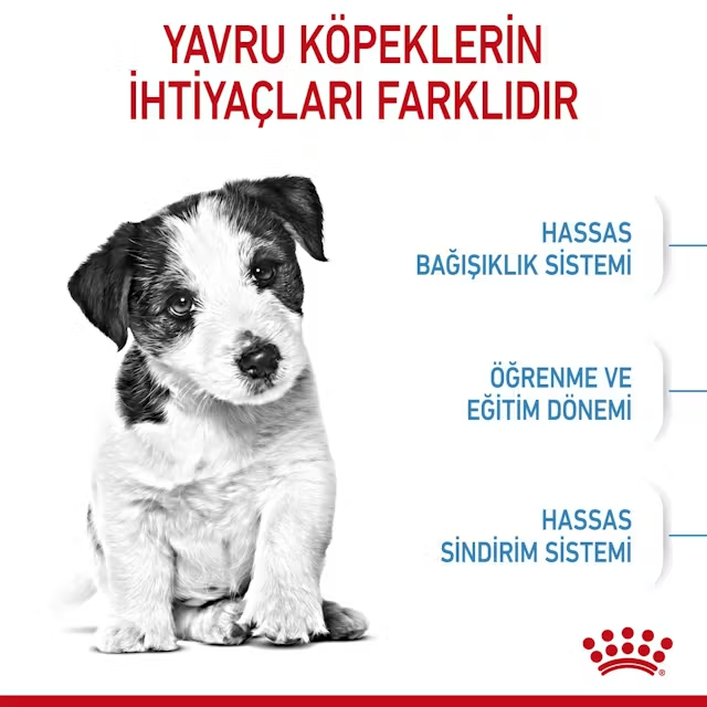 Royal Canin Mini Puppy Yavru Köpek Maması 4 kg