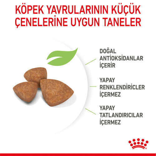 Royal Canin Xsmall Puppy Yavru Köpek Maması 3 kg